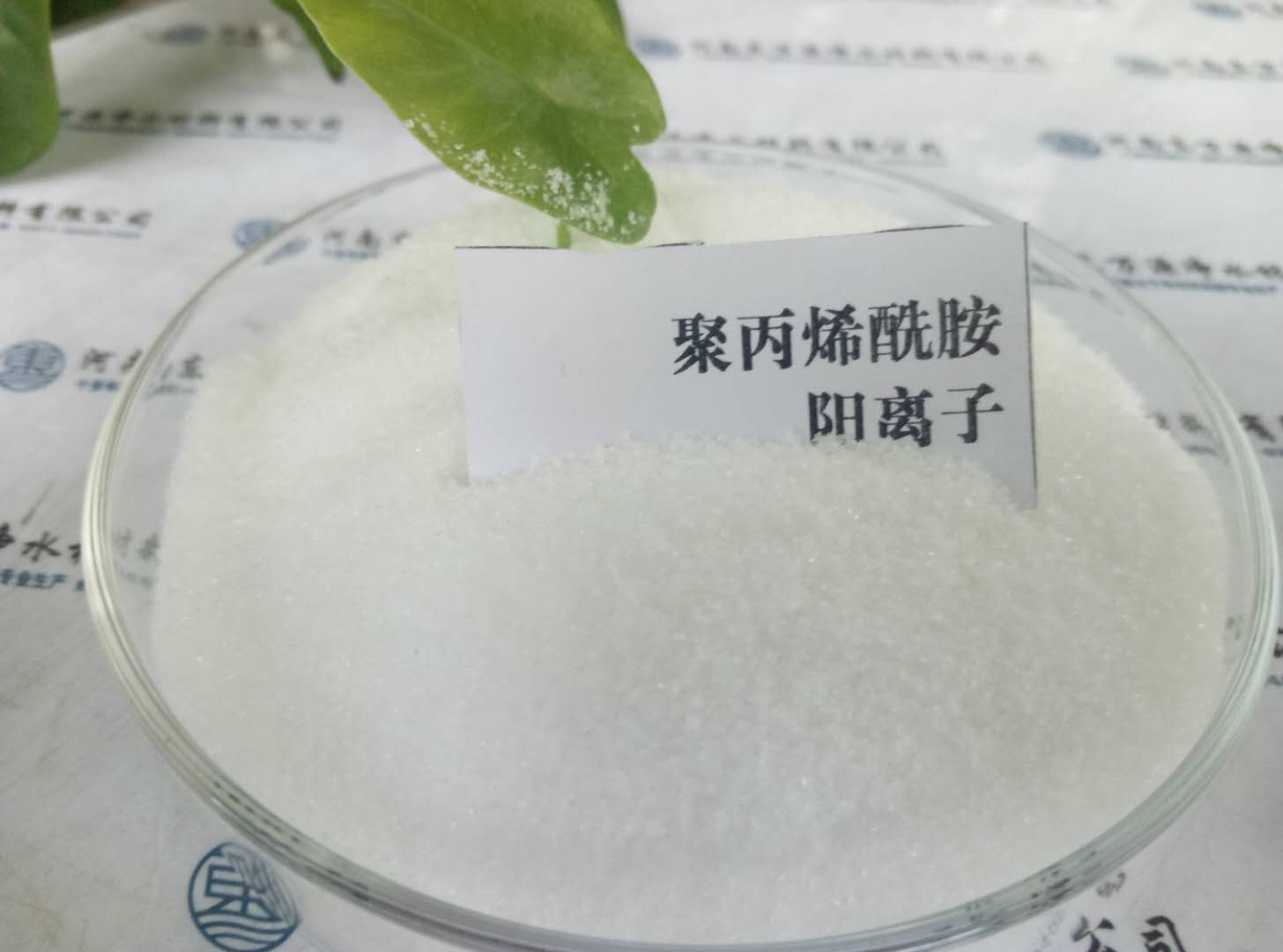 νzԽL(zhng)۱ϩ|(zh)Խô